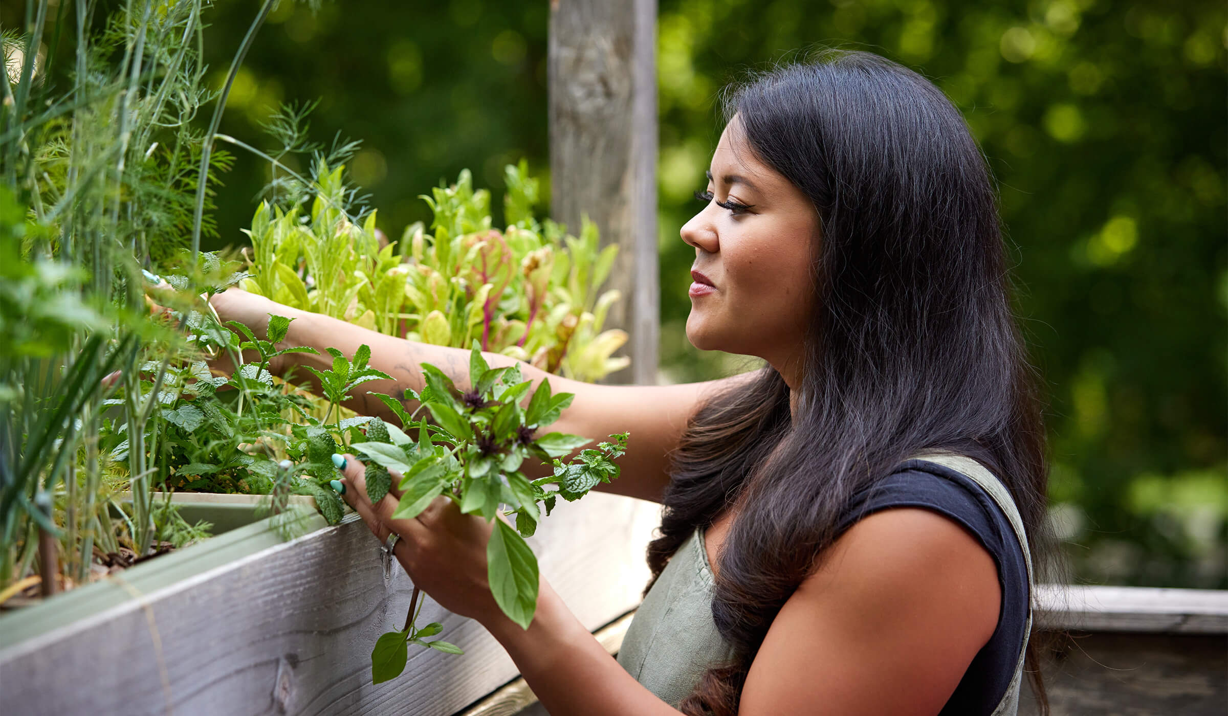 Cooking and Culture profiled chef Tiffany Alexandria in her herb garden