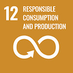 UN SDG icon 12 Responsible Consumption and Production