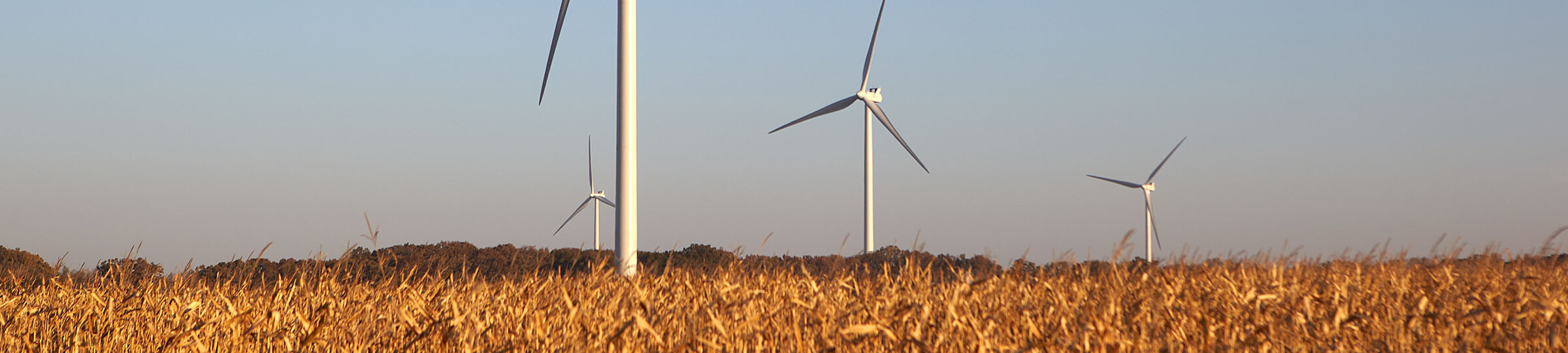 wind farm in field with blue sky