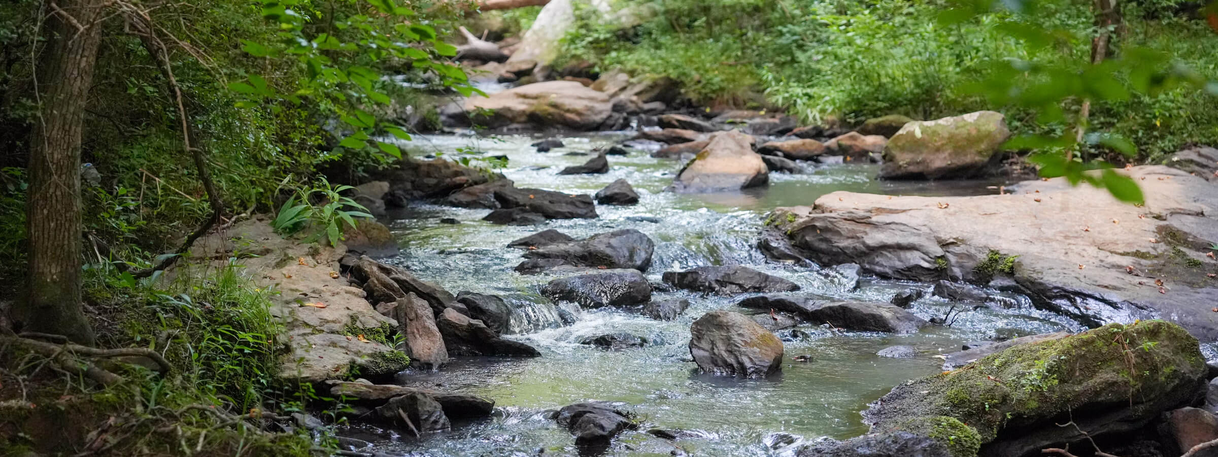 flowing stream with rocks and greenery