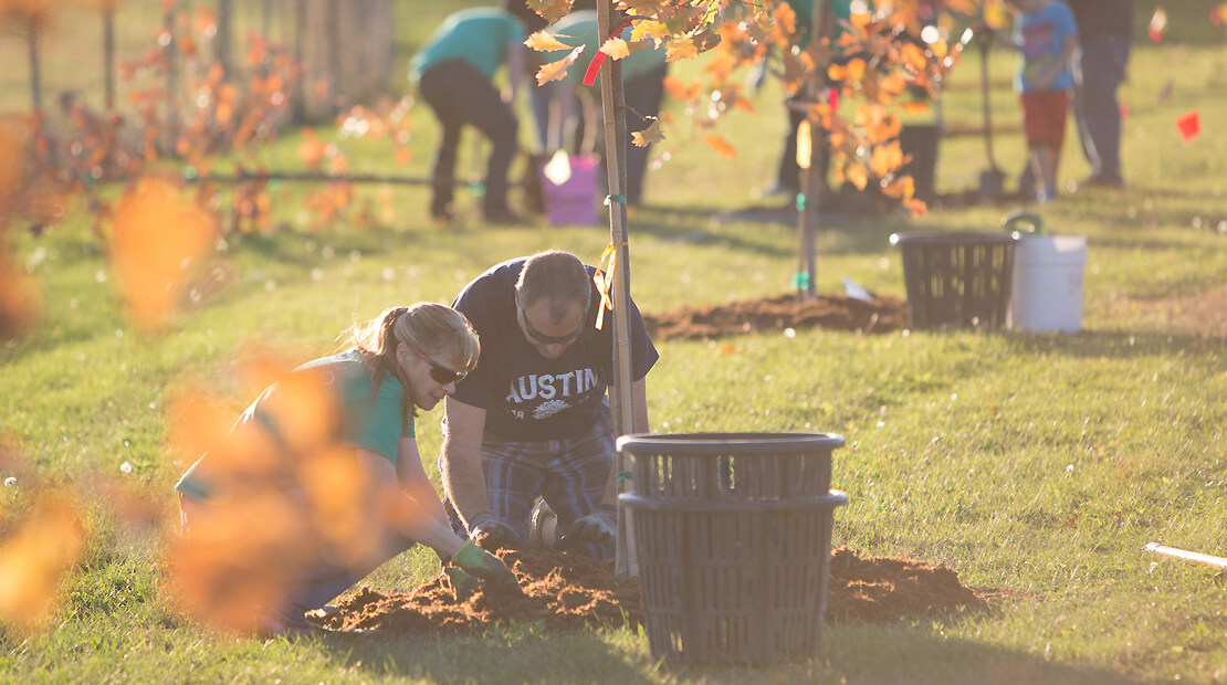 Hormel Foods employees planting trees