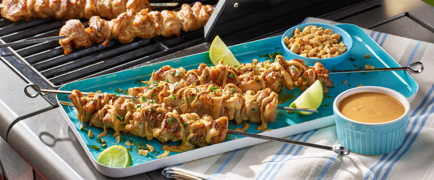 Grilled Thai Chicken Skewers - Hormel Foods