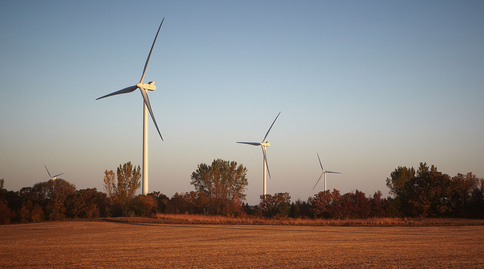 Windmill Farm