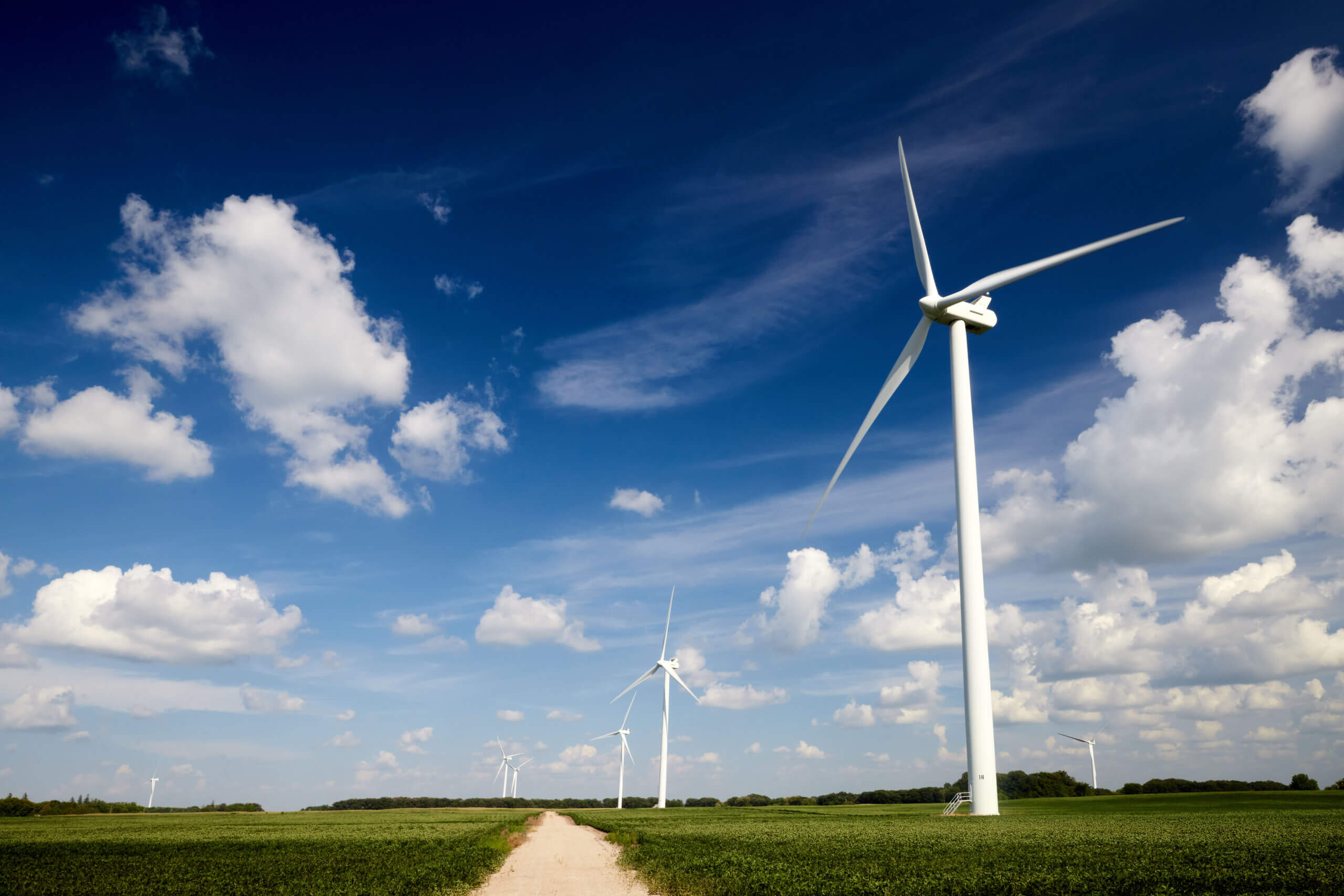 Windmills in front of a beautiful blue sky