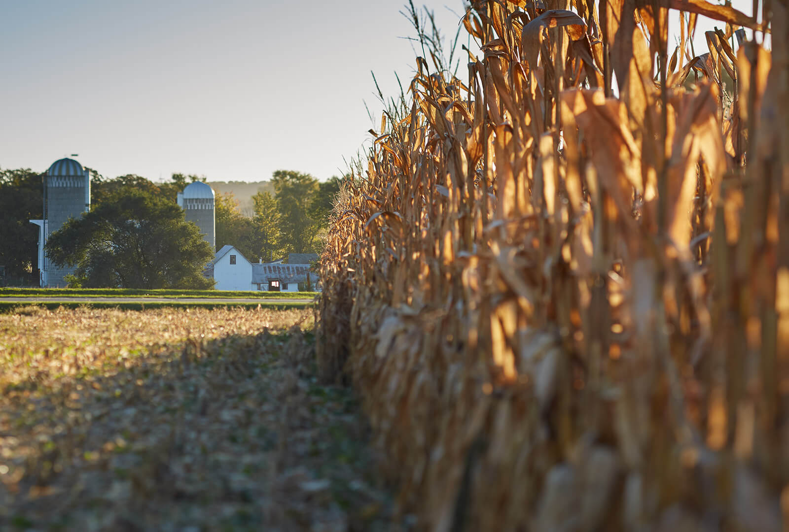 Family Farms