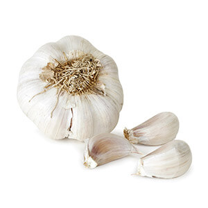 Garlic