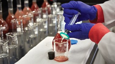 Food Safety Testing