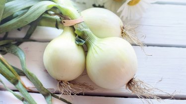 Onion