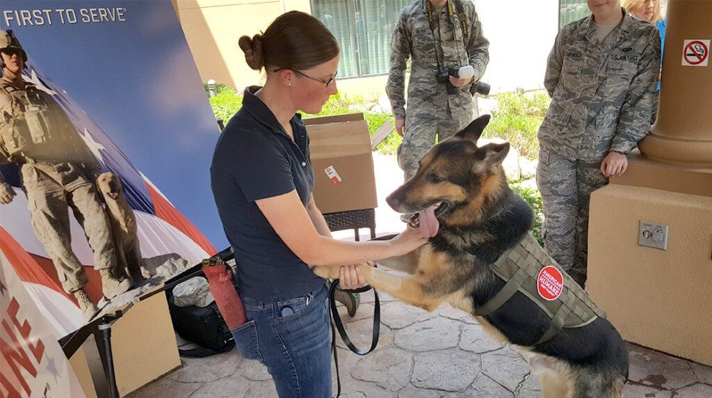 Watch the Emotional Moment an Air Force Sergeant Reunites with Her