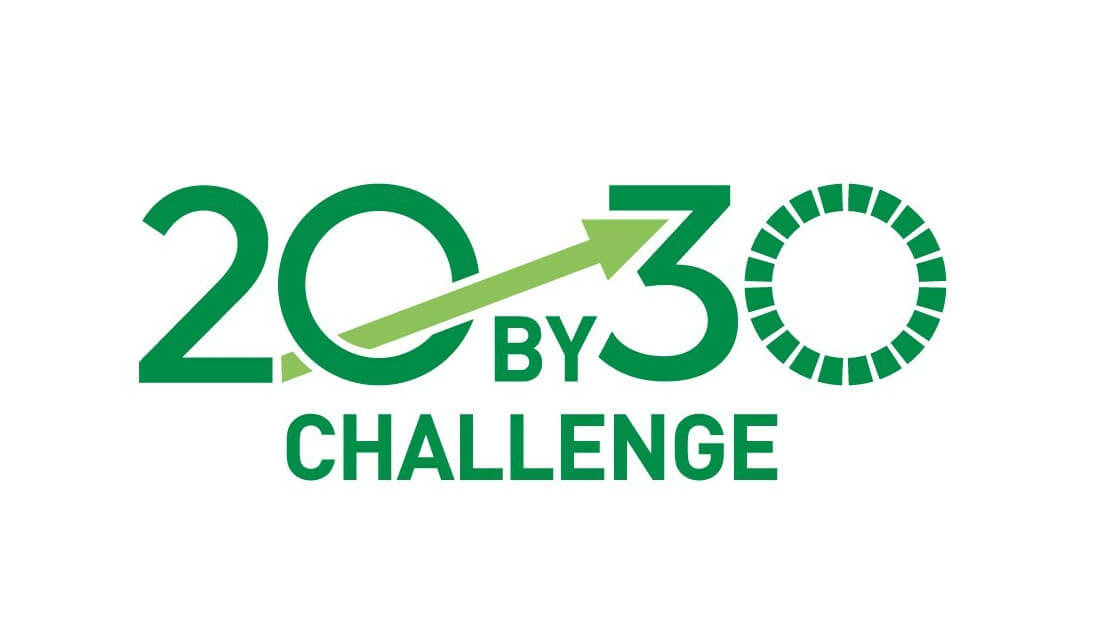 20 By 30 Challenge