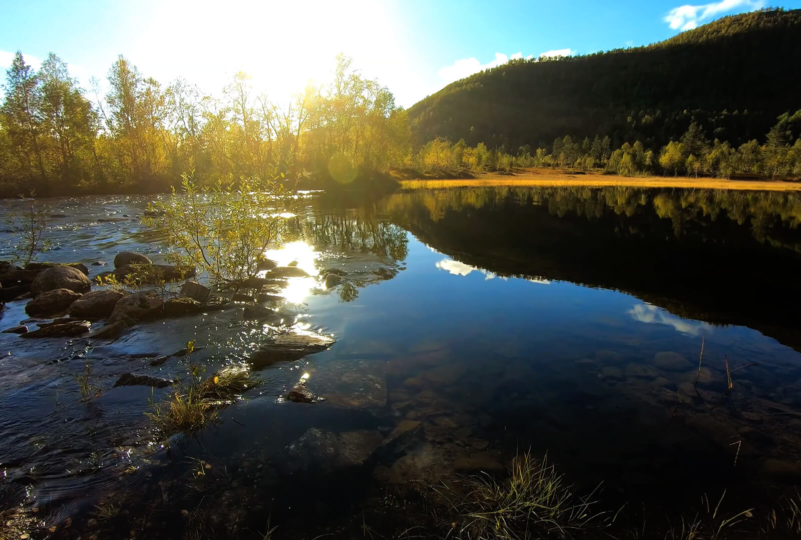 Sunrise with water and trees