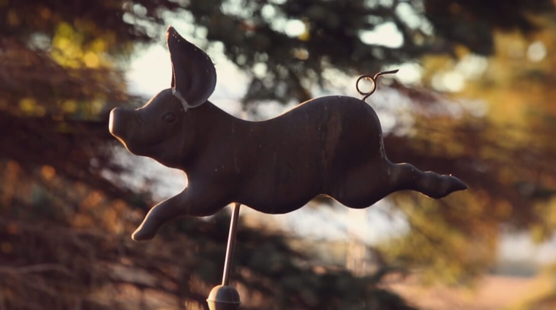 Farm: Pig Weathervane