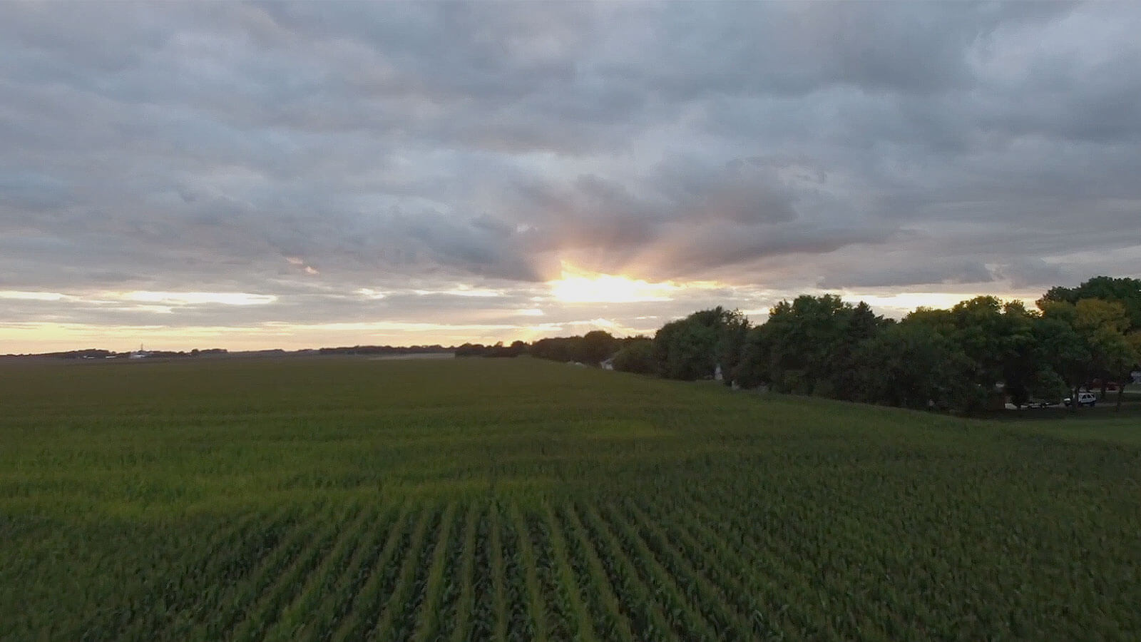 Sunrise over a large green field