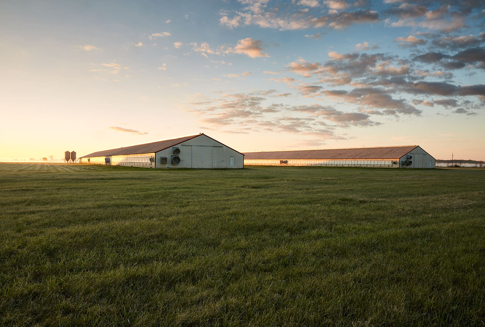 Two Jennie-O Turkey barns at sunset