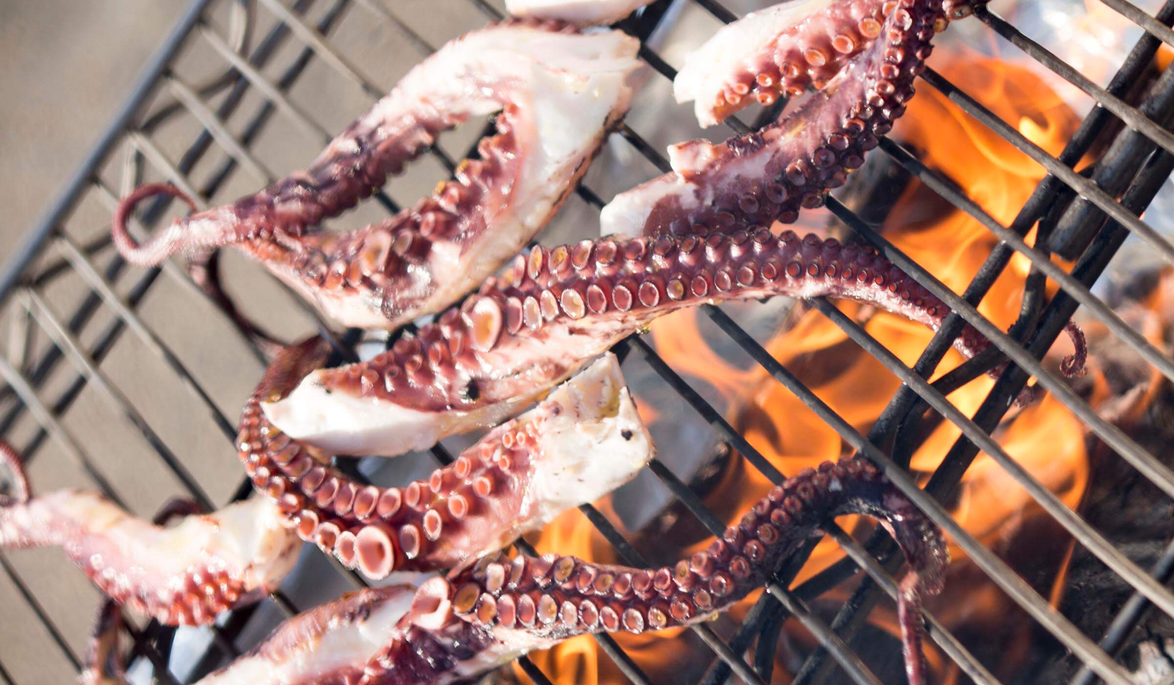 grilling octopus over an open flame