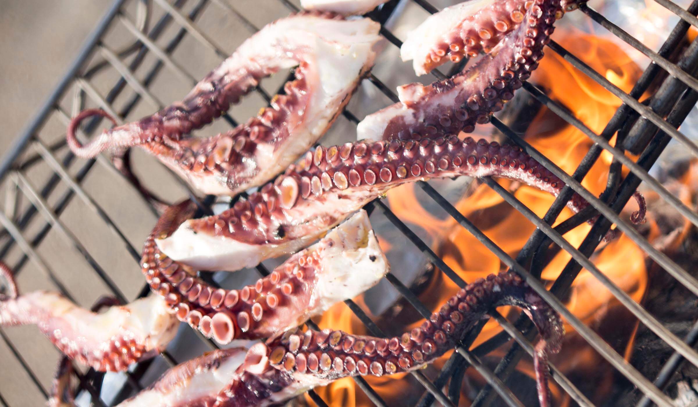 grilling octopus over an open flame