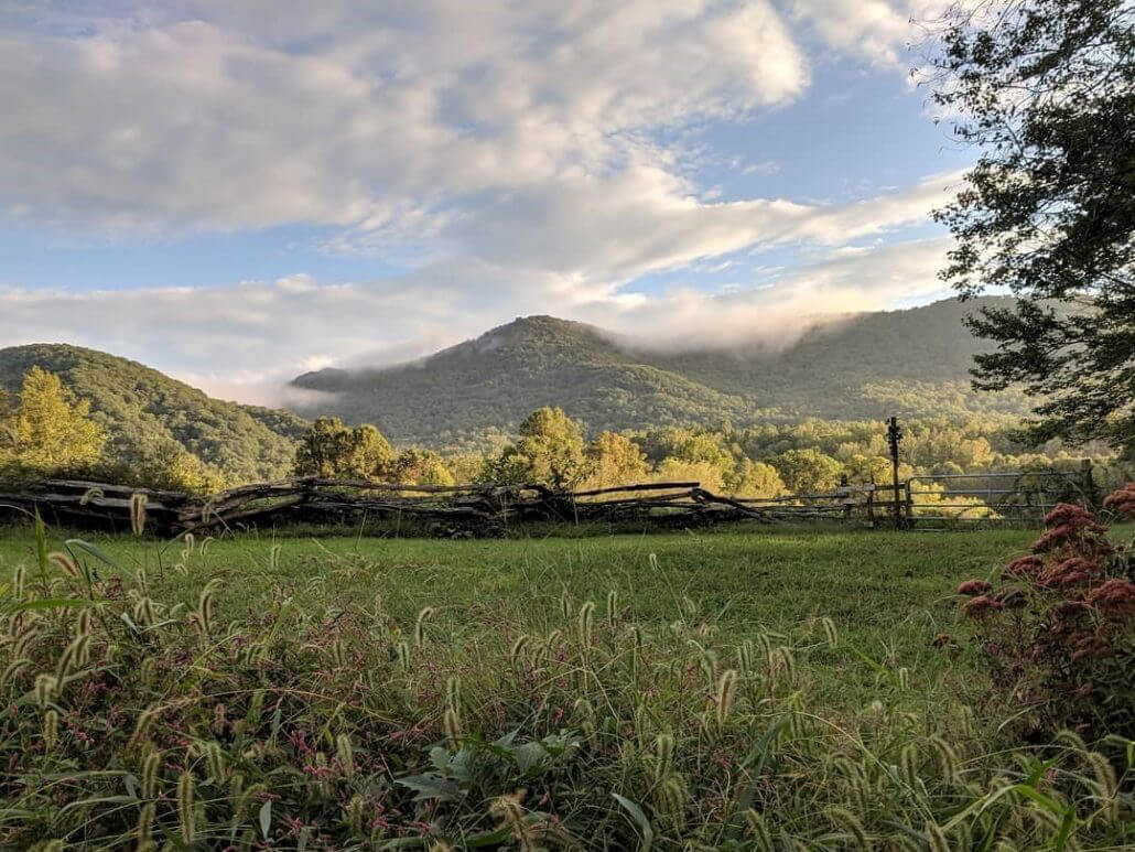 View of Jamie Ager's regenerative farm