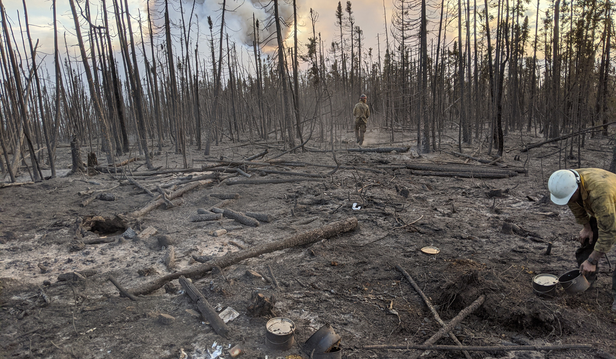 Smokejumpers in a recently burnt landscape